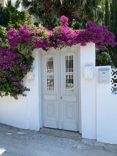 Manolis' House Aparthotel Skiathos Town Exterior photo